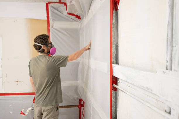 Best Residential Mold Inspection & Testing  in Clermont, GA