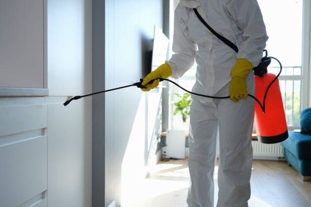 Best Industrial Mold Remediation  in Clermont, GA