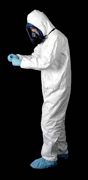 Best Black Mold Removal  in Clermont, GA